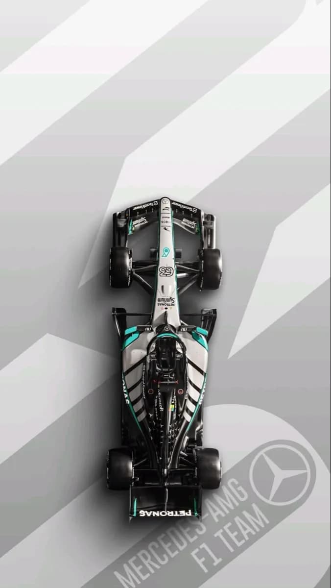 Mercedes-AMG Petronas F1 Top View Racing Car Poster