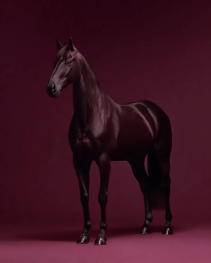 Burgundy Majesty – Dark Horse Poster